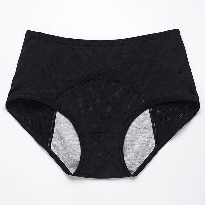 🔥Buy 1 Get 3 Free🔥 High-waisted Leak-proof Protective Panties