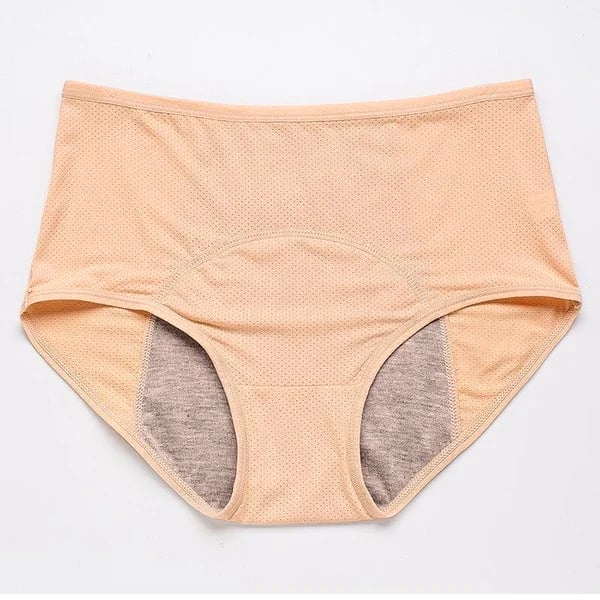 🔥Buy 1 Get 3 Free🔥 High-waisted Leak-proof Protective Panties