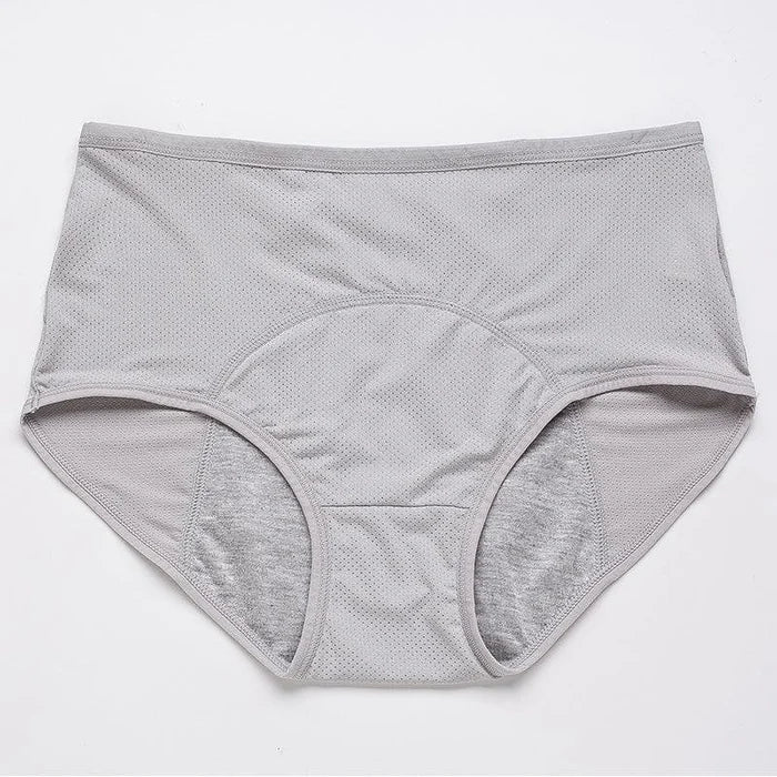 🔥Buy 1 Get 3 Free🔥 High-waisted Leak-proof Protective Panties