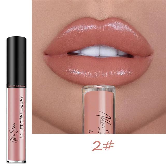 2025 NEW 12 Color Waterproof Long Lasting Moist Lip Gloss Plumper Liquid Lipstick
