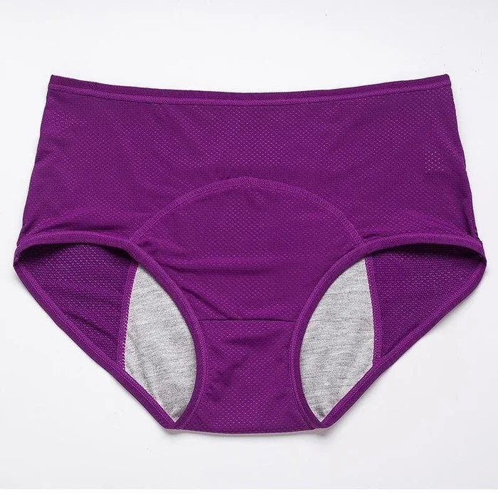 🔥Buy 1 Get 3 Free🔥 High-waisted Leak-proof Protective Panties