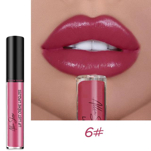 2025 NEW 12 Color Waterproof Long Lasting Moist Lip Gloss Plumper Liquid Lipstick